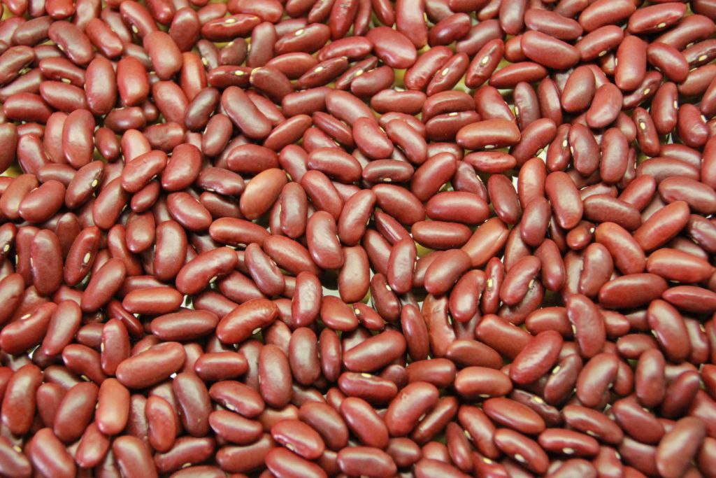 Redy kidney bean